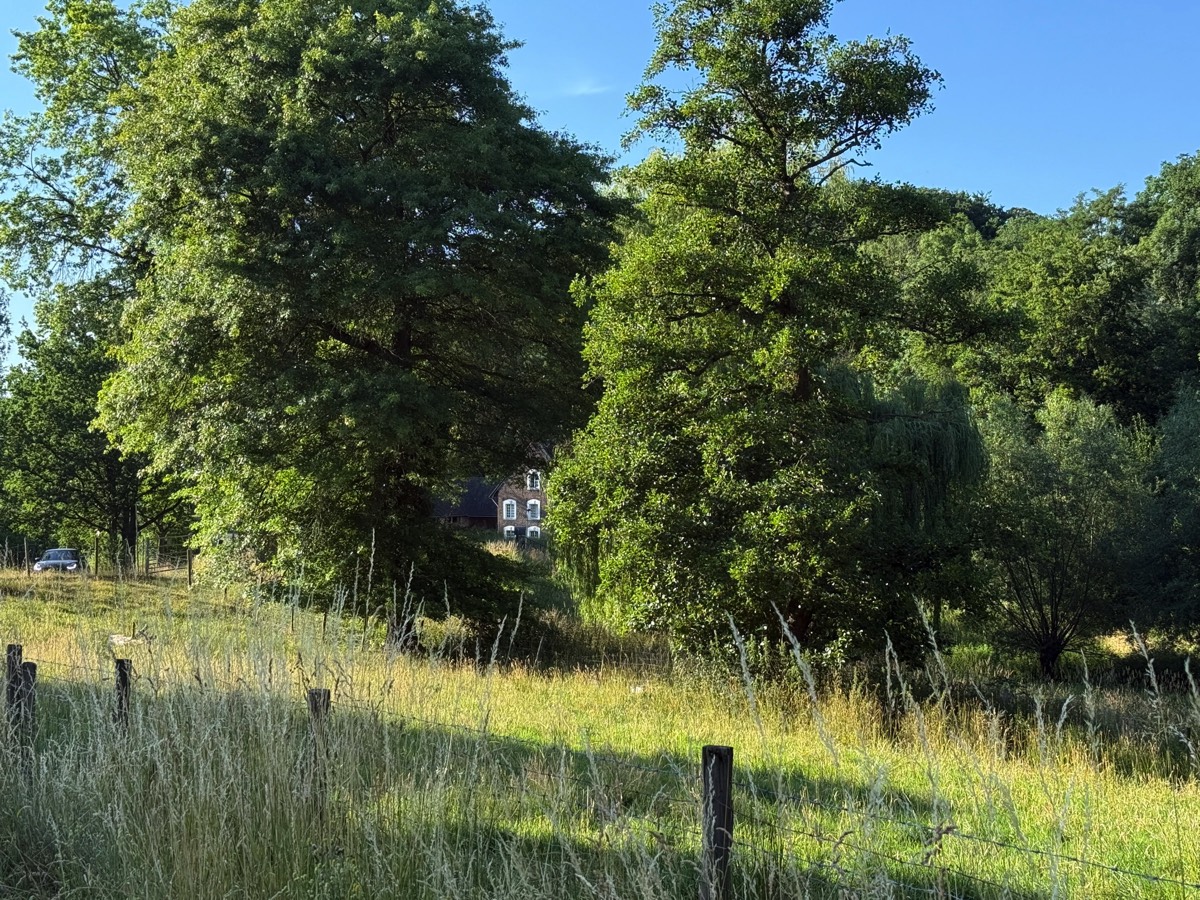 Stacks Image 850